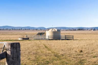 Livestock For Sale - QLD - Sandy Camp - 4361 - "Freddies" - Ideal Grazing or Lifestyle Opportunity  (Image 2)