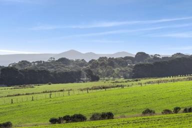 Lifestyle For Sale - VIC - Drysdale - 3222 - 'Turramurra' - High On The Hill  (Image 2)
