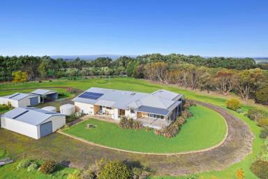 Lifestyle For Sale - VIC - Drysdale - 3222 - 'Turramurra' - High On The Hill  (Image 2)