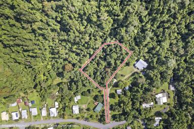 Residential Block For Sale - QLD - Babinda - 4861 - Secluded 3,812m² Block with Creek & Town Services  (Image 2)