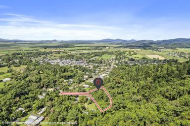 Residential Block For Sale - QLD - Babinda - 4861 - Secluded 3,812m² Block with Creek & Town Services  (Image 2)
