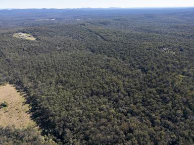 Lifestyle For Sale - NSW - Lawrence - 2460 - 100 ACRES OF BLANK CANVAS  (Image 2)