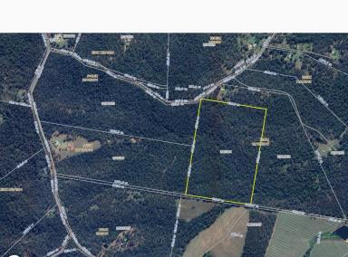 Lifestyle For Sale - NSW - Lawrence - 2460 - 100 ACRES OF BLANK CANVAS  (Image 2)