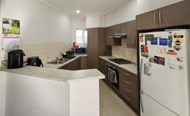House For Lease - SA - Willaston - 5118 - 3 Br house in much sort after & in secure location  (Image 2)