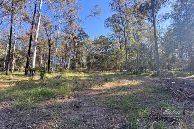 Residential Block For Sale - QLD - Bauple - 4650 - BAUPLE BLISS - ACRES OF POTENTIAL  (Image 2)