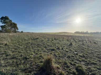 Mixed Farming For Sale - SA - Wild Dog Valley - 5271 - Wardles Corner  (Image 2)