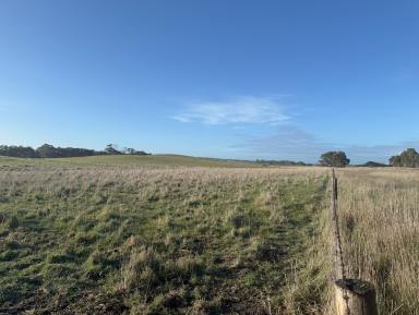 Mixed Farming For Sale - SA - Wild Dog Valley - 5271 - Wardles Corner  (Image 2)