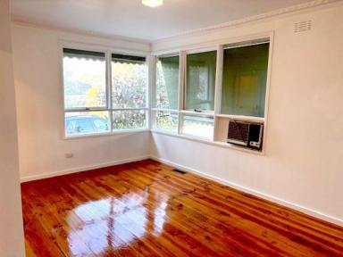 Unit For Lease - VIC - Burwood - 3125 - Headline Goes Here  (Image 2)