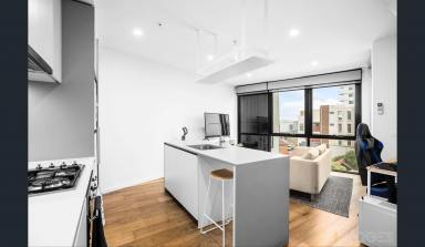 House For Lease - VIC - Cheltenham - 3192 - Light| Bright | Airy  (Image 2)