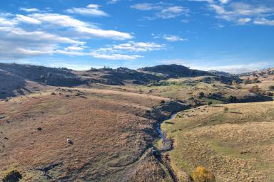 Mixed Farming For Sale - NSW - Reids Flat - 2586 - 2,564ACRES* OF HIGH RAINFALL, SOUTHERN TABLELANDS BREEDING COUNTRY  (Image 2)