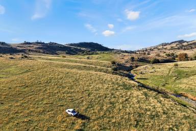 Mixed Farming For Sale - NSW - Reids Flat - 2586 - 3,079 ACRES* OF HIGH RAINFALL, SOUTHERN TABLELANDS BREEDING COUNTRY  (Image 2)