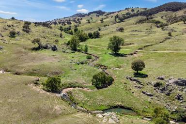 Mixed Farming Auction - NSW - Reids Flat - 2586 - 3,079 ACRES* OF HIGH RAINFALL, SOUTHERN TABLELANDS BREEDING COUNTRY  (Image 2)