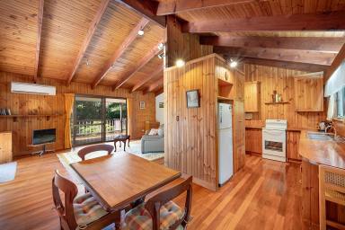 House Auction - QLD - Black Mountain - 4563 - Renovate, Restore, Reimagine  (Image 2)
