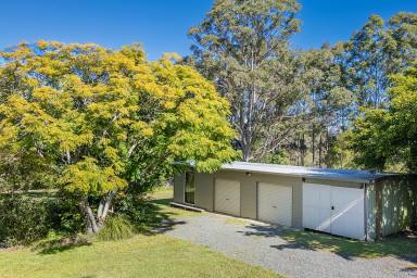 House Auction - QLD - Black Mountain - 4563 - Renovate, Restore, Reimagine  (Image 2)