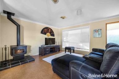 House For Sale - NSW - North Nowra - 2541 - Hidden Gem  (Image 2)