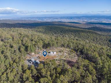 House For Sale - TAS - Underwood - 7268 - "Solas" A magnificent untouched environmental ECO residence or resort, awesome views & 20 minutes from Launceston!.  (Image 2)