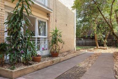 Apartment For Lease - VIC - Elwood - 3184 - Pet friendly neat and tidy 2 bed, 1 bath apartment, 1 off street car park  (Image 2)