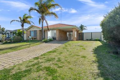 House For Sale - WA - Meadow Springs - 6210 - Spacious 4 x 2 Family home in a quiet cul-de-sac - Short Walk to either of Two Private Schools  (Image 2)