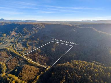 Lifestyle For Sale - TAS - Moina - 7310 - Rare Opportunity - High Country Block  (Image 2)