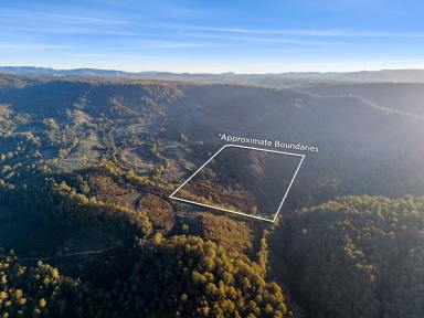 Lifestyle For Sale - TAS - Moina - 7310 - Rare Opportunity - High Country Block  (Image 2)