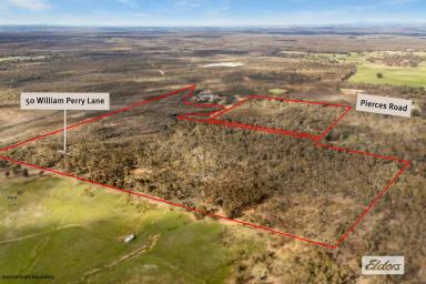 House For Sale - VIC - Sebastian - 3556 - "Elysian Downs" Live on Approximately 89 Acres of Native Australian Paradise  (Image 2)