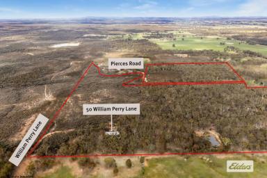 House For Sale - VIC - Sebastian - 3556 - "Elysian Downs" Live on Approximately 89 Acres of Native Australian Paradise  (Image 2)
