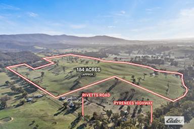 Mixed Farming For Sale - VIC - Amphitheatre - 3468 - Scenic 184-Acre Grazing Property in the Pyrenees Region  (Image 2)