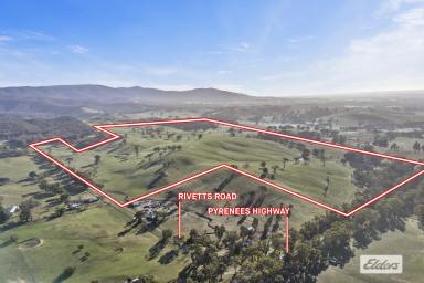 Mixed Farming For Sale - VIC - Amphitheatre - 3468 - Scenic 187-Acre Grazing Property in the Pyrenees Region  (Image 2)