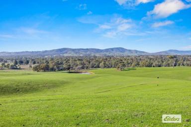 Mixed Farming For Sale - VIC - Amphitheatre - 3468 - Scenic 184-Acre Grazing Property in the Pyrenees Region  (Image 2)