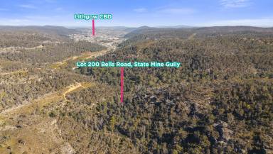 Residential Block For Sale - NSW - Lithgow - 2790 - Nature, Adventure & Potential – 13.94 Hectares with Creek Frontage  (Image 2)