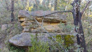 Residential Block For Sale - NSW - Lithgow - 2790 - Nature, Adventure & Potential – 13.94 Hectares with Creek Frontage  (Image 2)