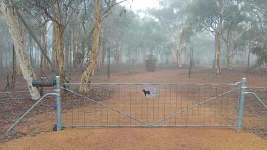 House For Sale - WA - Coondle - 6566 - Nature. birds, peace and quiet  (Image 2)