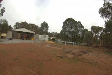 House For Sale - WA - Coondle - 6566 - Nature. birds, peace and quiet  (Image 2)