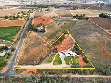 House For Sale - VIC - Red Cliffs - 3496 - A Unique Blend of Country Living & Contemporary Style  (Image 2)