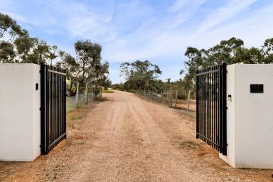 House For Sale - VIC - Red Cliffs - 3496 - A Unique Blend of Country Living & Contemporary Style  (Image 2)