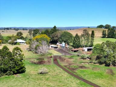 Mixed Farming For Sale - NSW - Stratheden - 2470 - EXPRESSIONS OF INTEREST  (Image 2)