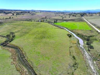 Mixed Farming For Sale - NSW - Stratheden - 2470 - 305 ACRES OF TOP CATTLE COUNTRY  (Image 2)