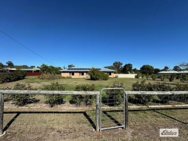 House For Sale - QLD - Plainland - 4341 - Convenient Country Lifestyle  (Image 2)