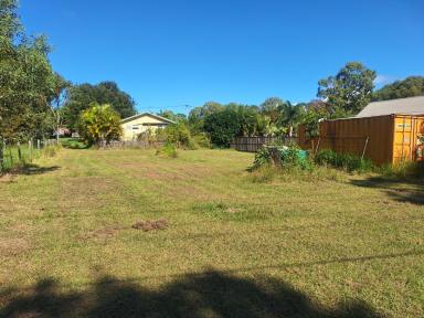 Residential Block Sold - QLD - Macleay Island - 4184 - Cleared Block  (Image 2)