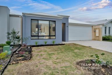 House For Sale - WA - Anketell - 6167 - Brand New 4x2 Home – Modern Comfort in a Prime, Family-Friendly Location  (Image 2)