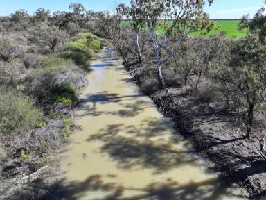 Mixed Farming For Sale - NSW - Carinda - 2831 - ULTIMATE ENTERPRISE FLEXIBILITY  (Image 2)