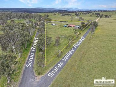 Acreage/Semi-rural Auction - NSW - Tenterfield - 2372 - Petrie Park.....  (Image 2)