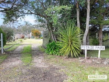 Acreage/Semi-rural Auction - NSW - Tenterfield - 2372 - Petrie Park.....  (Image 2)
