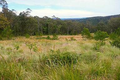 Lifestyle For Sale - NSW - Upper Tooloom - 2475 - DEEP IN THE FORREST  (Image 2)