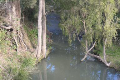 Lifestyle For Sale - NSW - Upper Tooloom - 2475 - MOUNTAIN MAGIC  (Image 2)