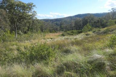 Lifestyle For Sale - NSW - Upper Tooloom - 2475 - MOUNTAIN MAGIC  (Image 2)