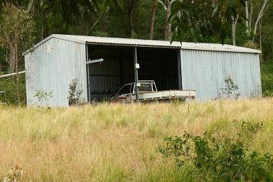 Lifestyle For Sale - NSW - Upper Tooloom - 2475 - DEEP IN THE FORREST  (Image 2)