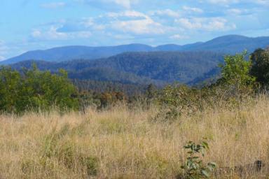 Lifestyle For Sale - NSW - Upper Tooloom - 2475 - MOUNTAIN MAGIC  (Image 2)