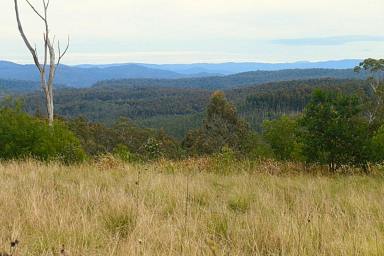 Lifestyle For Sale - NSW - Upper Tooloom - 2475 - DEEP IN THE FORREST  (Image 2)