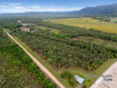 Acreage/Semi-rural For Sale - QLD - Balgal Beach - 4816 - 180 Acres with Renovated Home & Quality Infrastructure  (Image 2)